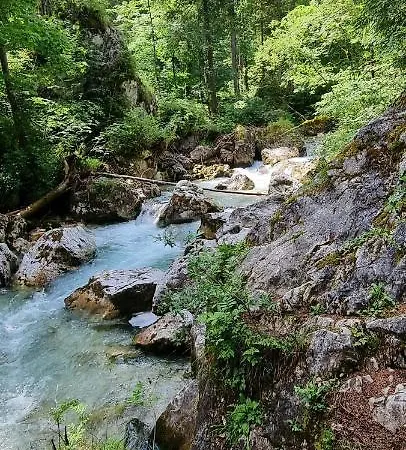 Alpenloft Apartmán *