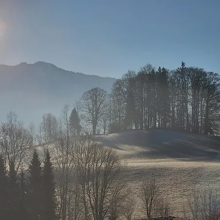 Daire Alpenloft Inzell